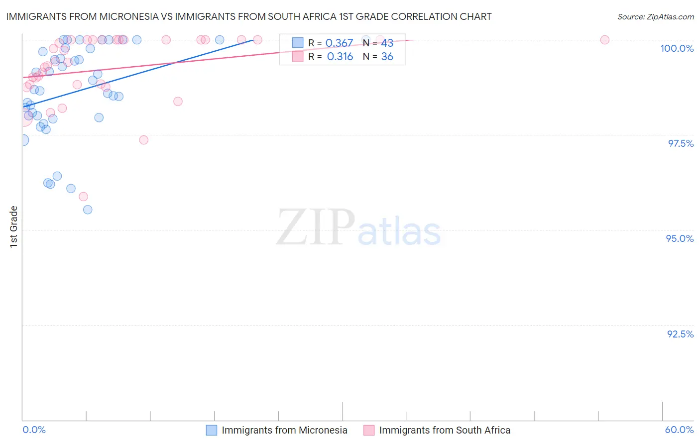 Immigrants from Micronesia vs Immigrants from South Africa 1st Grade