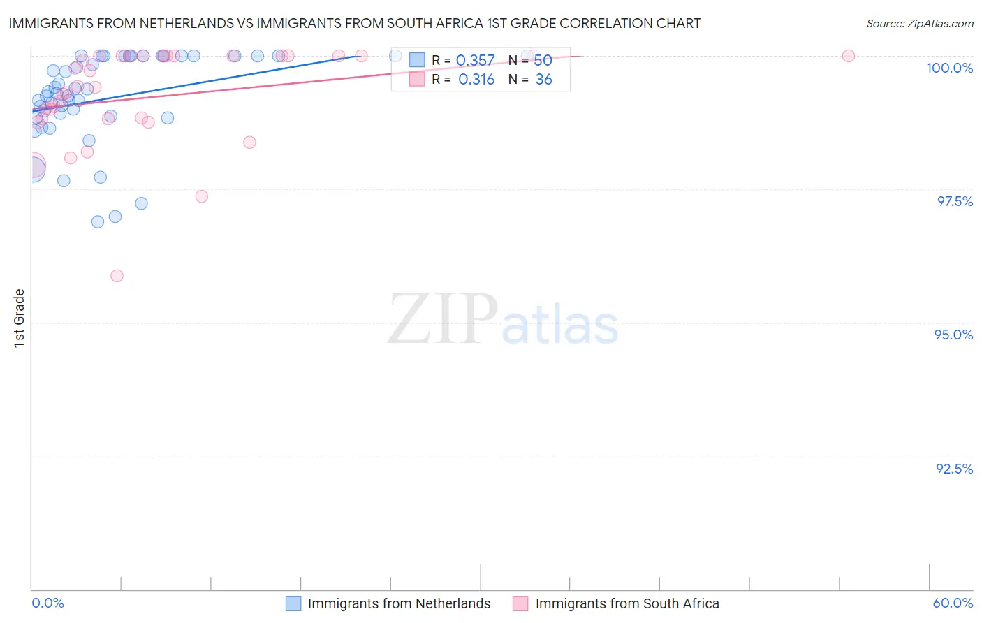 Immigrants from Netherlands vs Immigrants from South Africa 1st Grade