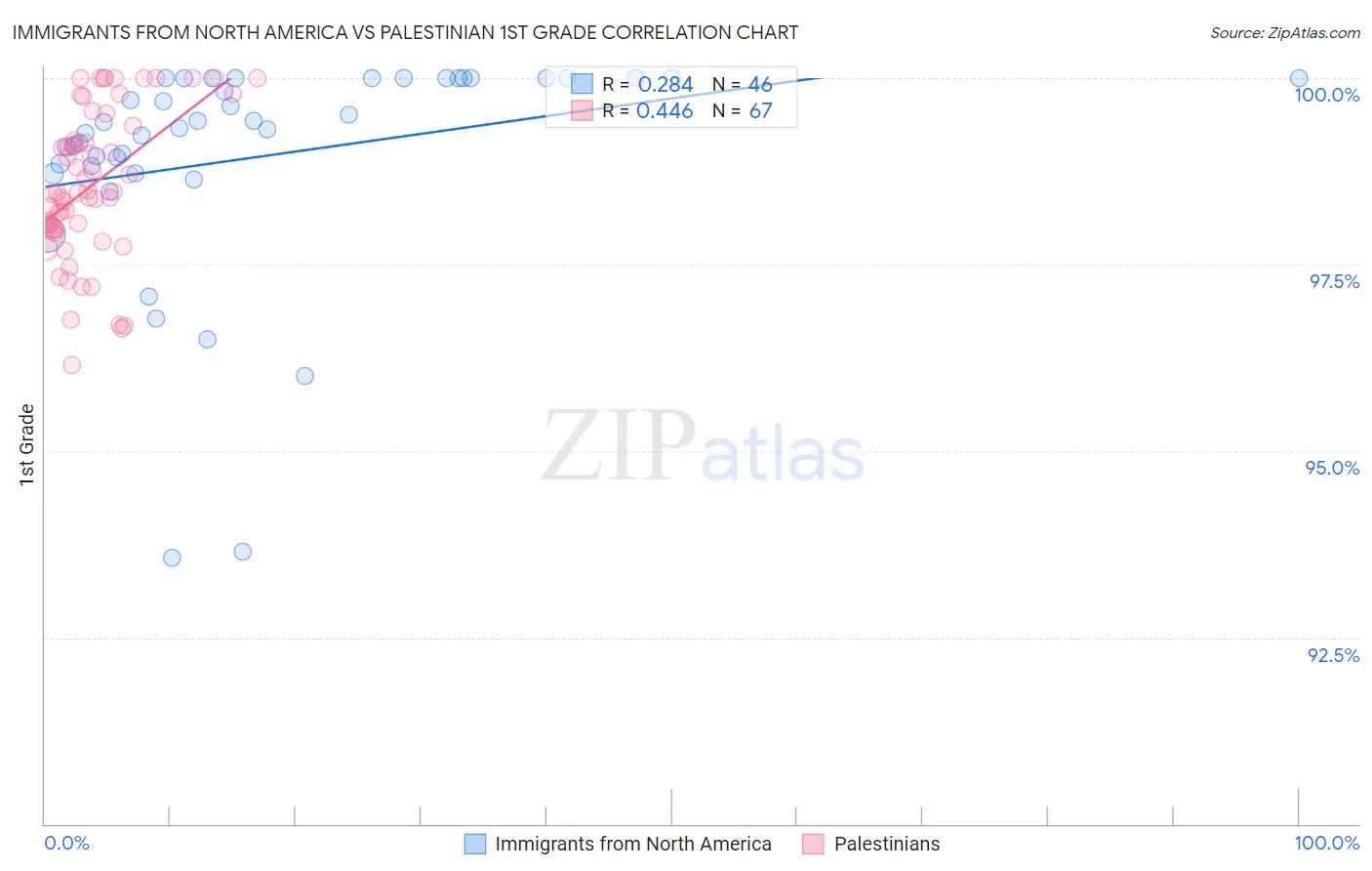 Immigrants from North America vs Palestinian 1st Grade