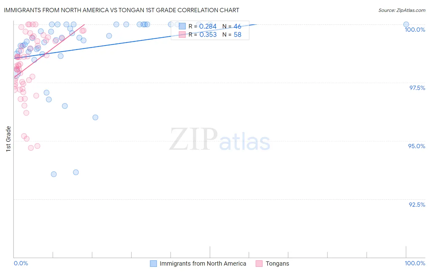 Immigrants from North America vs Tongan 1st Grade