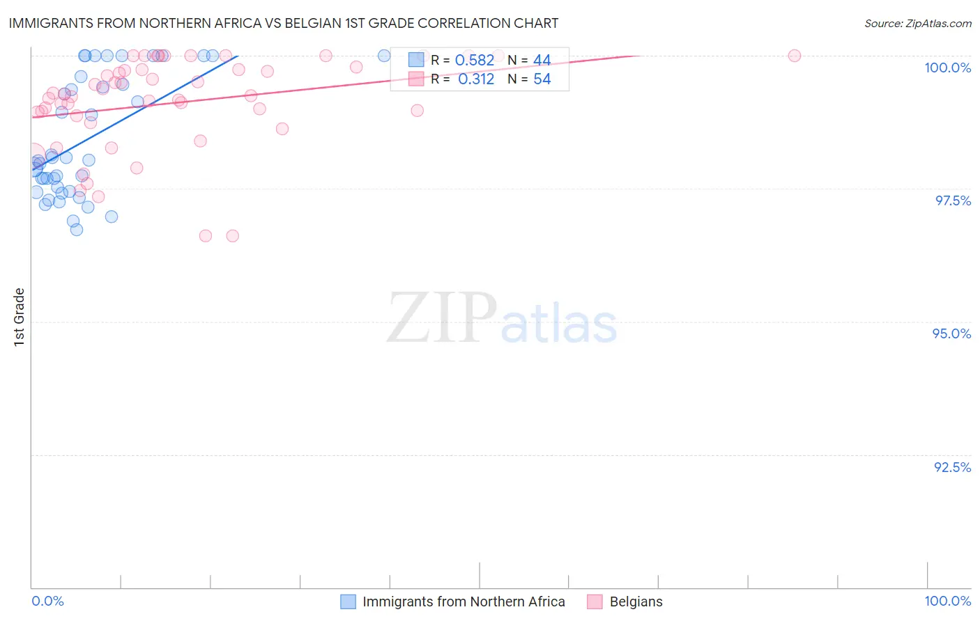 Immigrants from Northern Africa vs Belgian 1st Grade