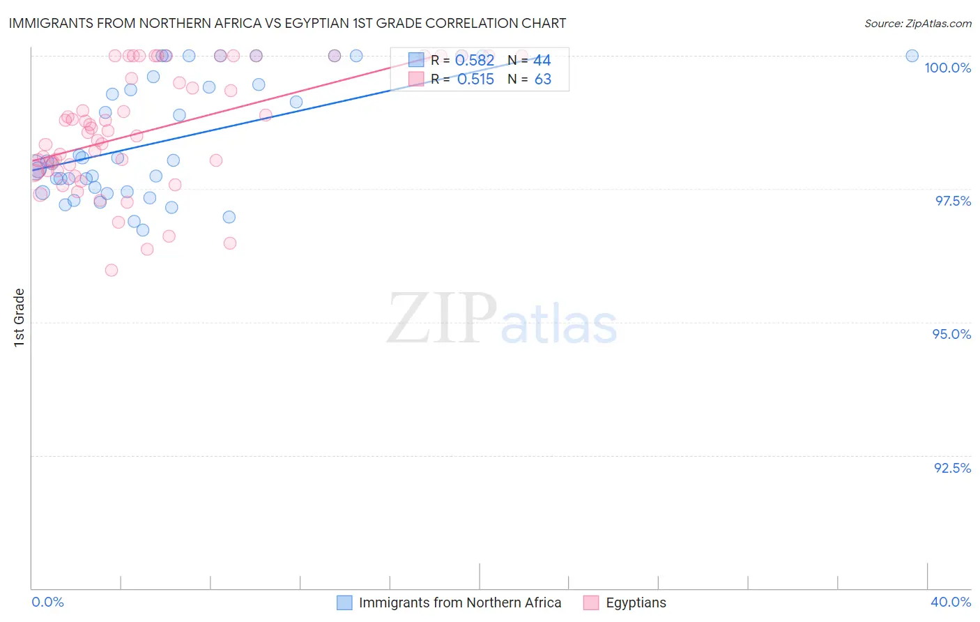 Immigrants from Northern Africa vs Egyptian 1st Grade