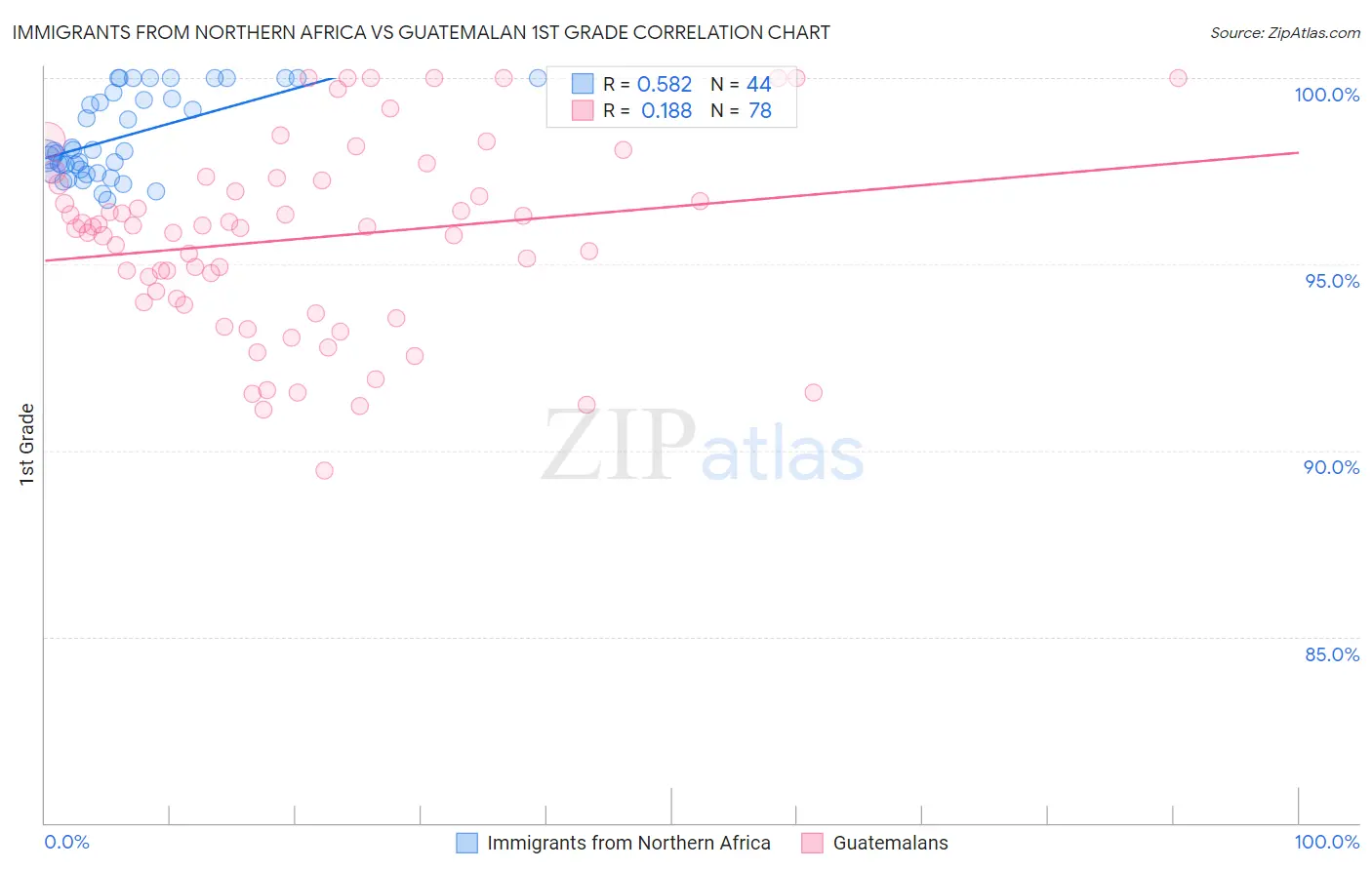 Immigrants from Northern Africa vs Guatemalan 1st Grade