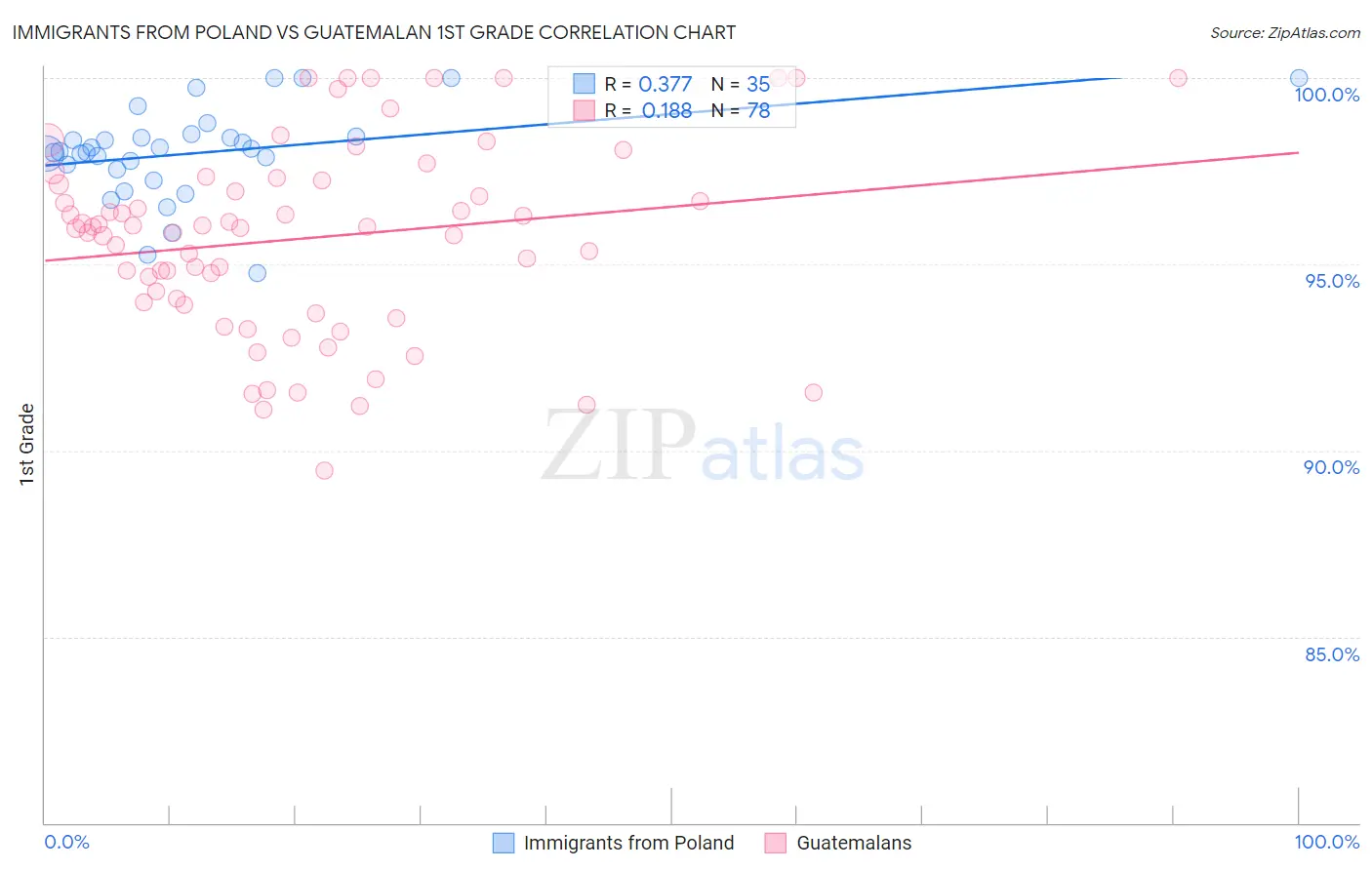 Immigrants from Poland vs Guatemalan 1st Grade