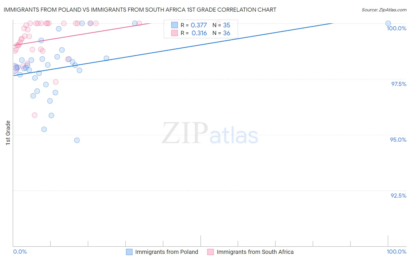 Immigrants from Poland vs Immigrants from South Africa 1st Grade