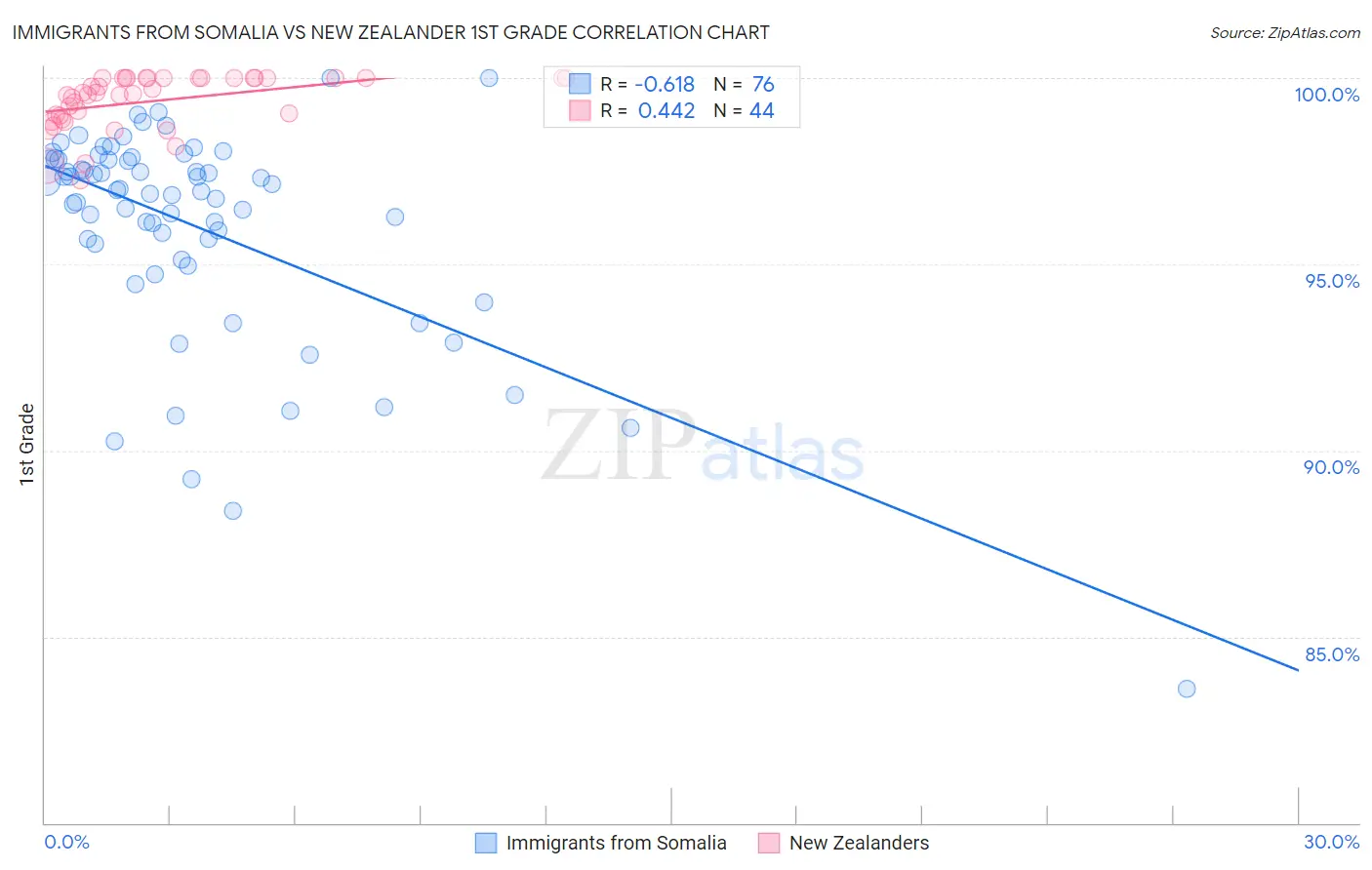 Immigrants from Somalia vs New Zealander 1st Grade