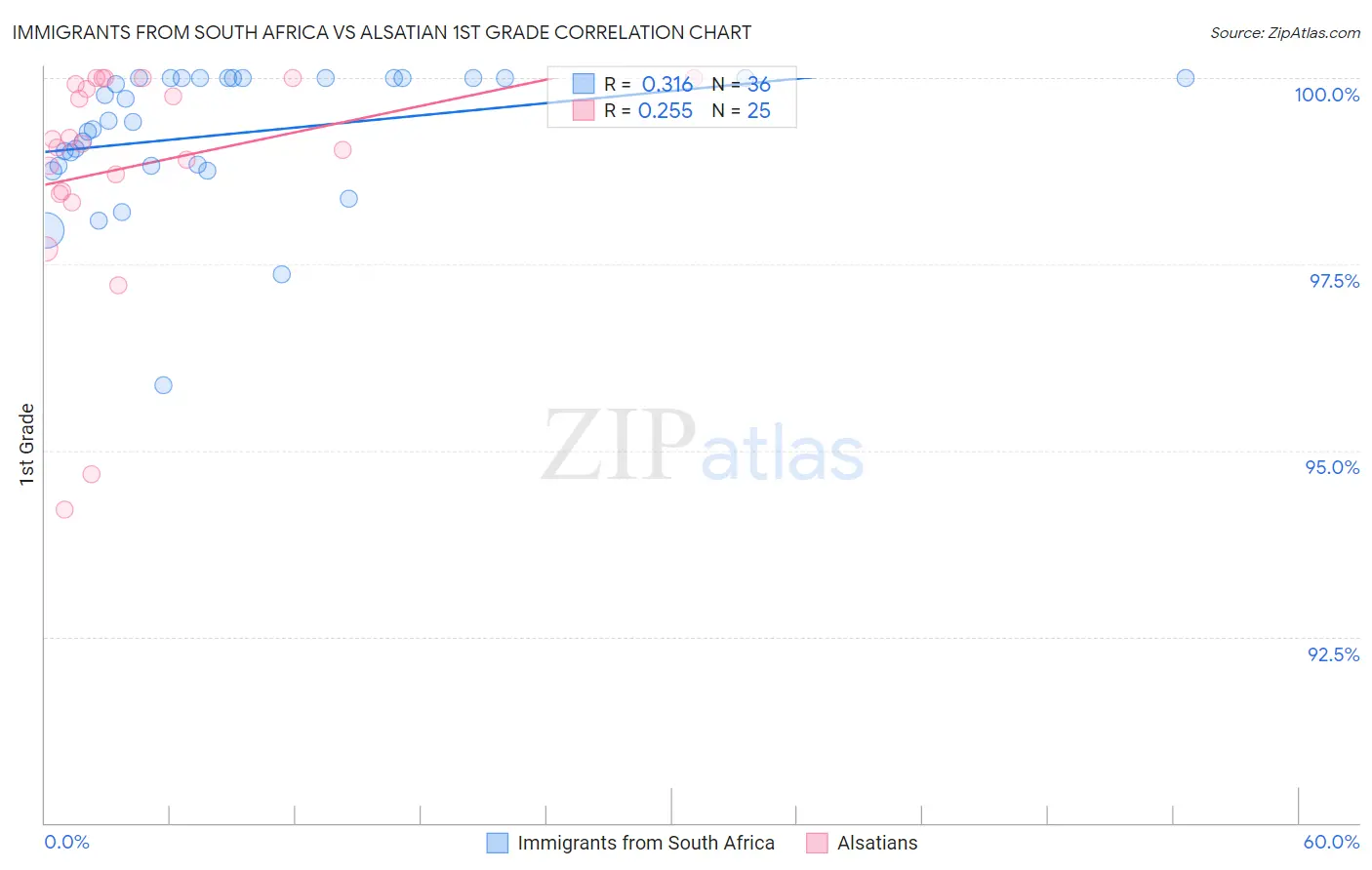 Immigrants from South Africa vs Alsatian 1st Grade