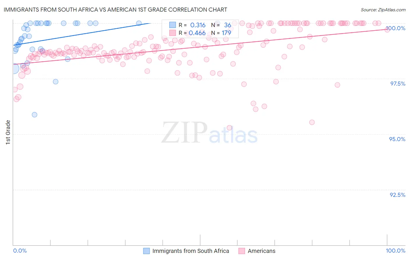 Immigrants from South Africa vs American 1st Grade