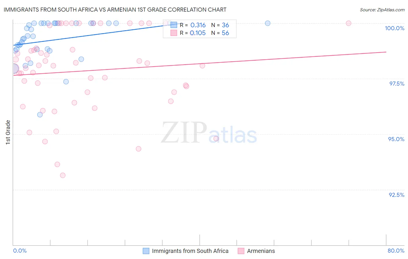 Immigrants from South Africa vs Armenian 1st Grade