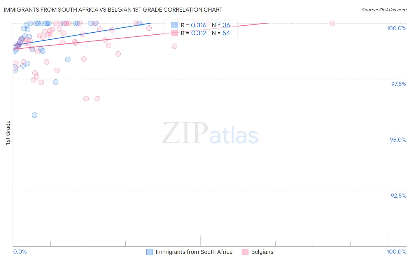 Immigrants from South Africa vs Belgian 1st Grade