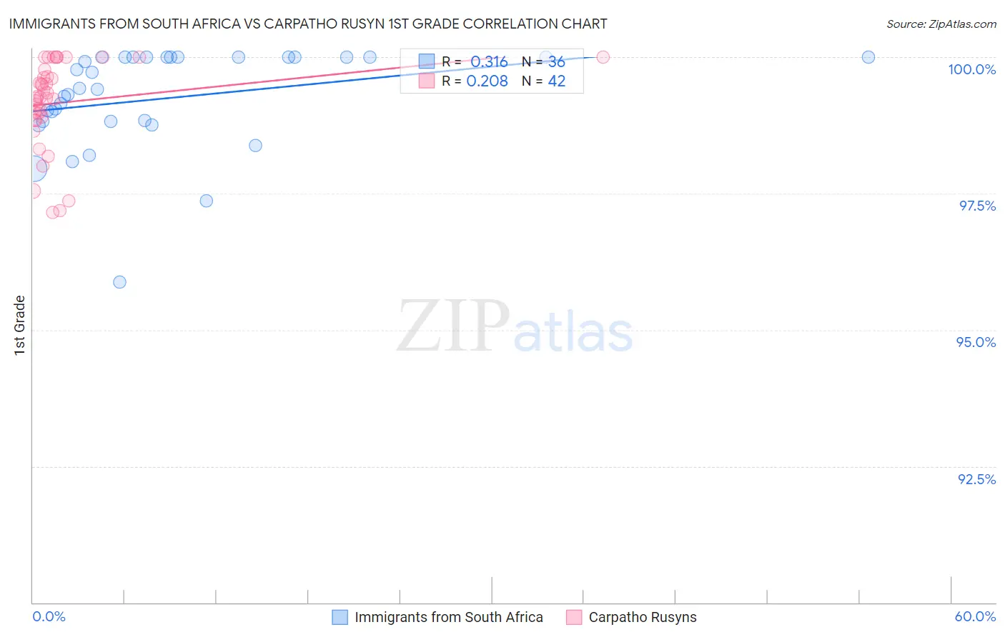 Immigrants from South Africa vs Carpatho Rusyn 1st Grade