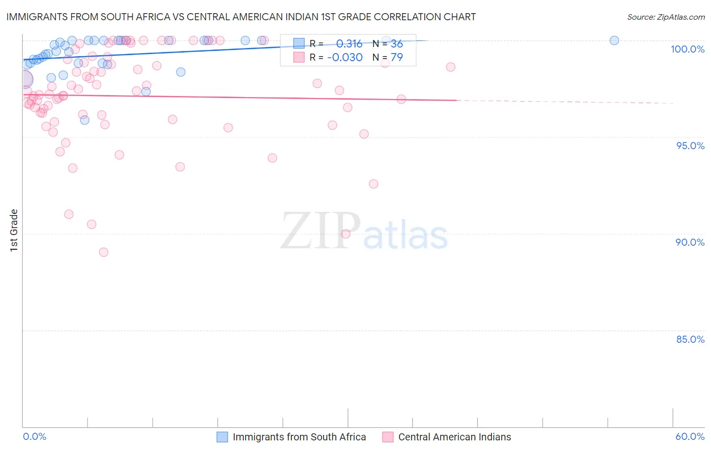 Immigrants from South Africa vs Central American Indian 1st Grade