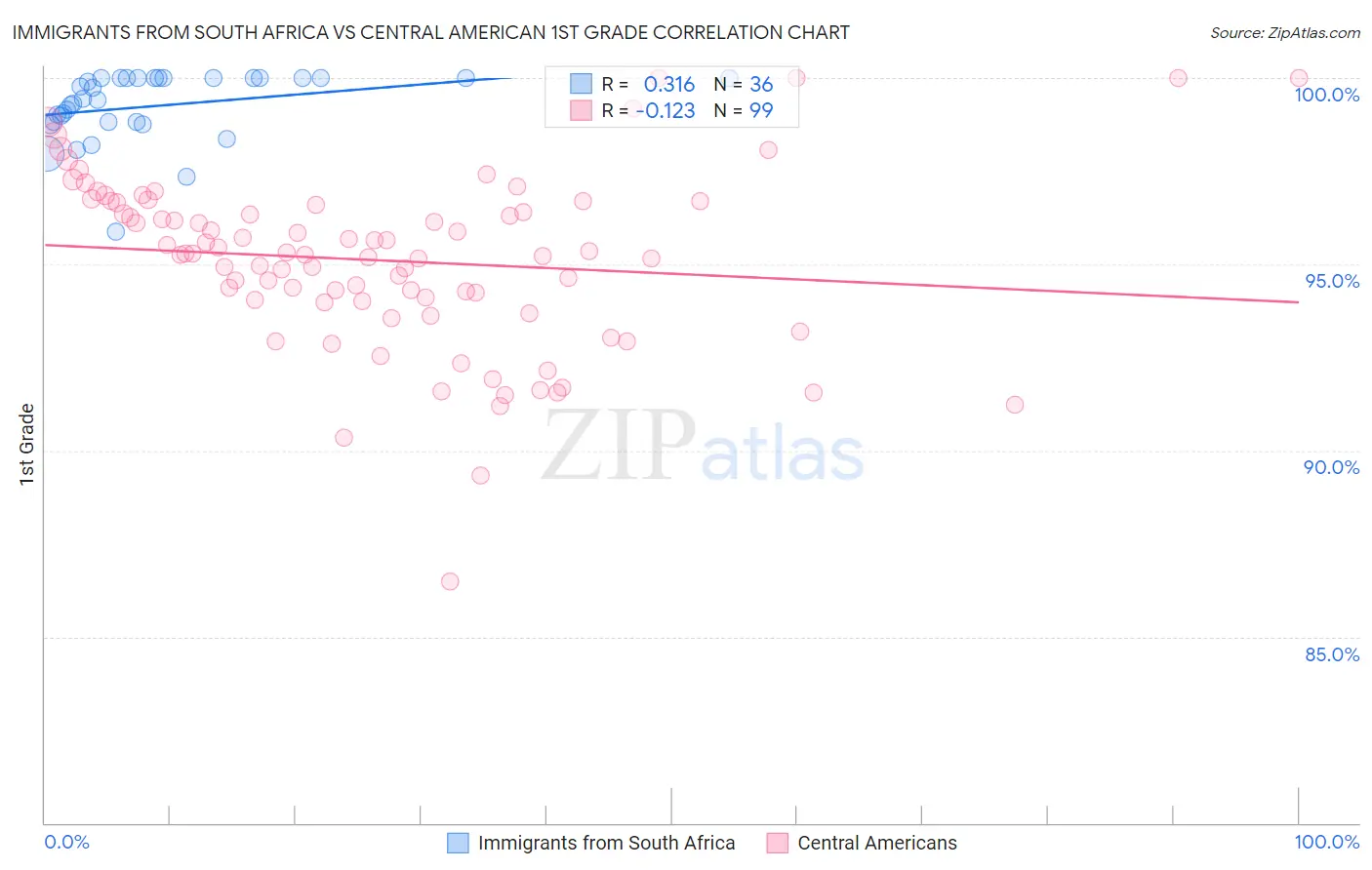 Immigrants from South Africa vs Central American 1st Grade