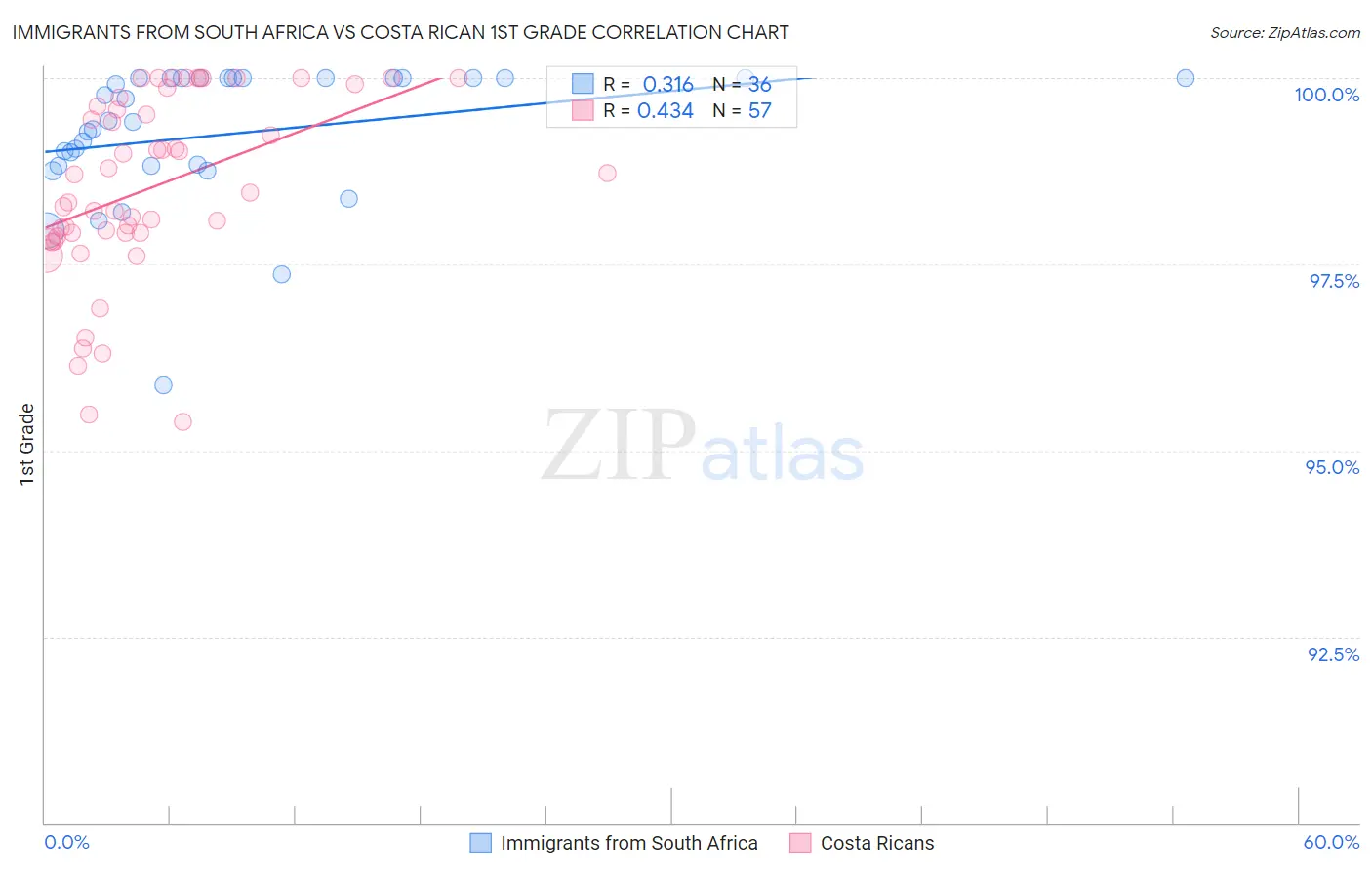 Immigrants from South Africa vs Costa Rican 1st Grade