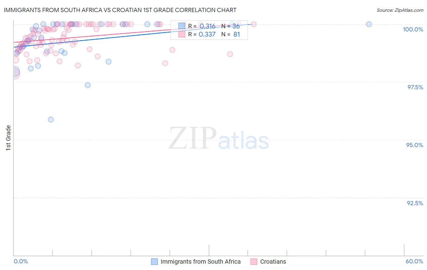 Immigrants from South Africa vs Croatian 1st Grade