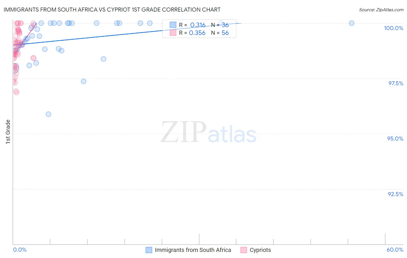 Immigrants from South Africa vs Cypriot 1st Grade