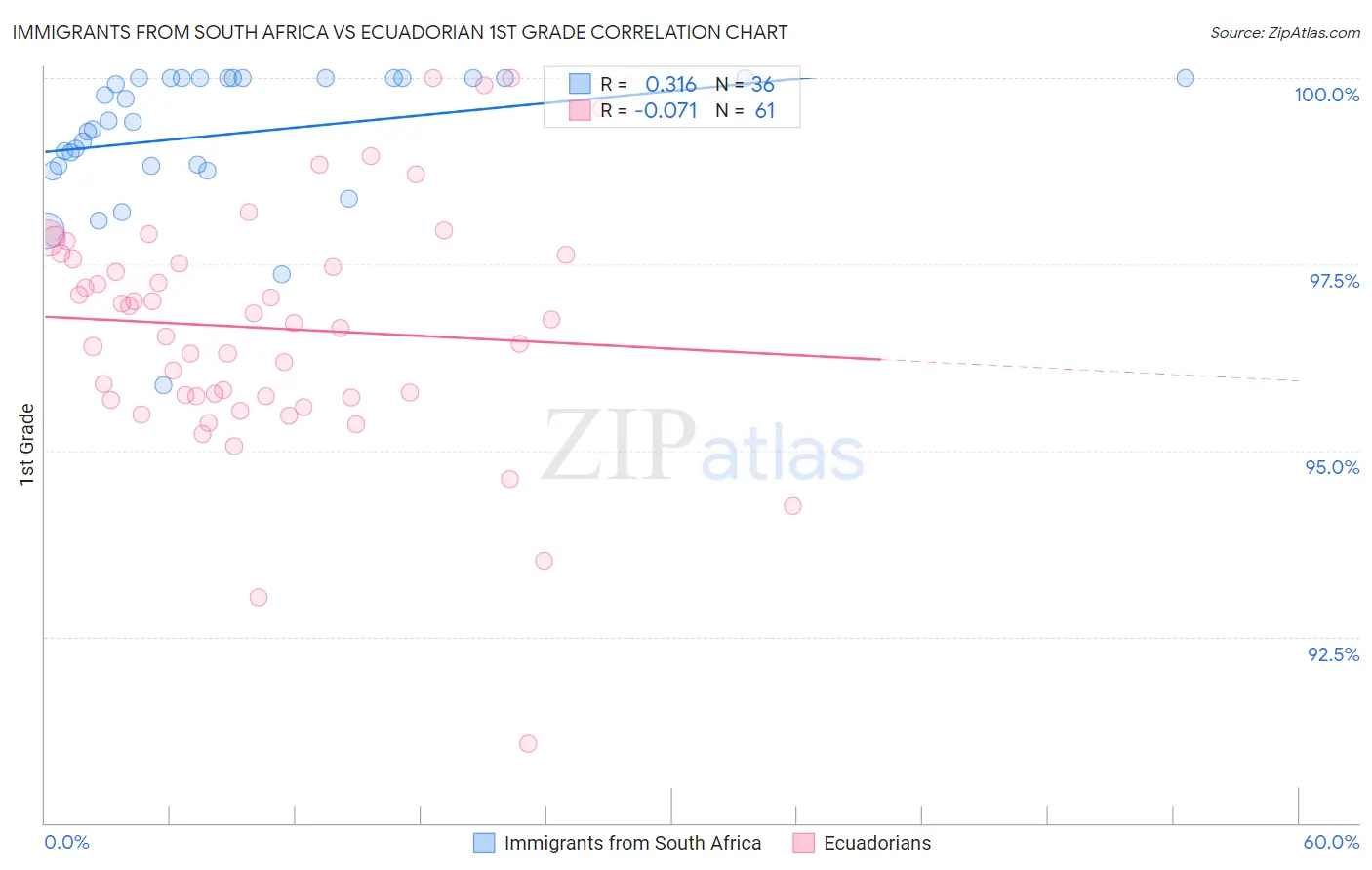Immigrants from South Africa vs Ecuadorian 1st Grade