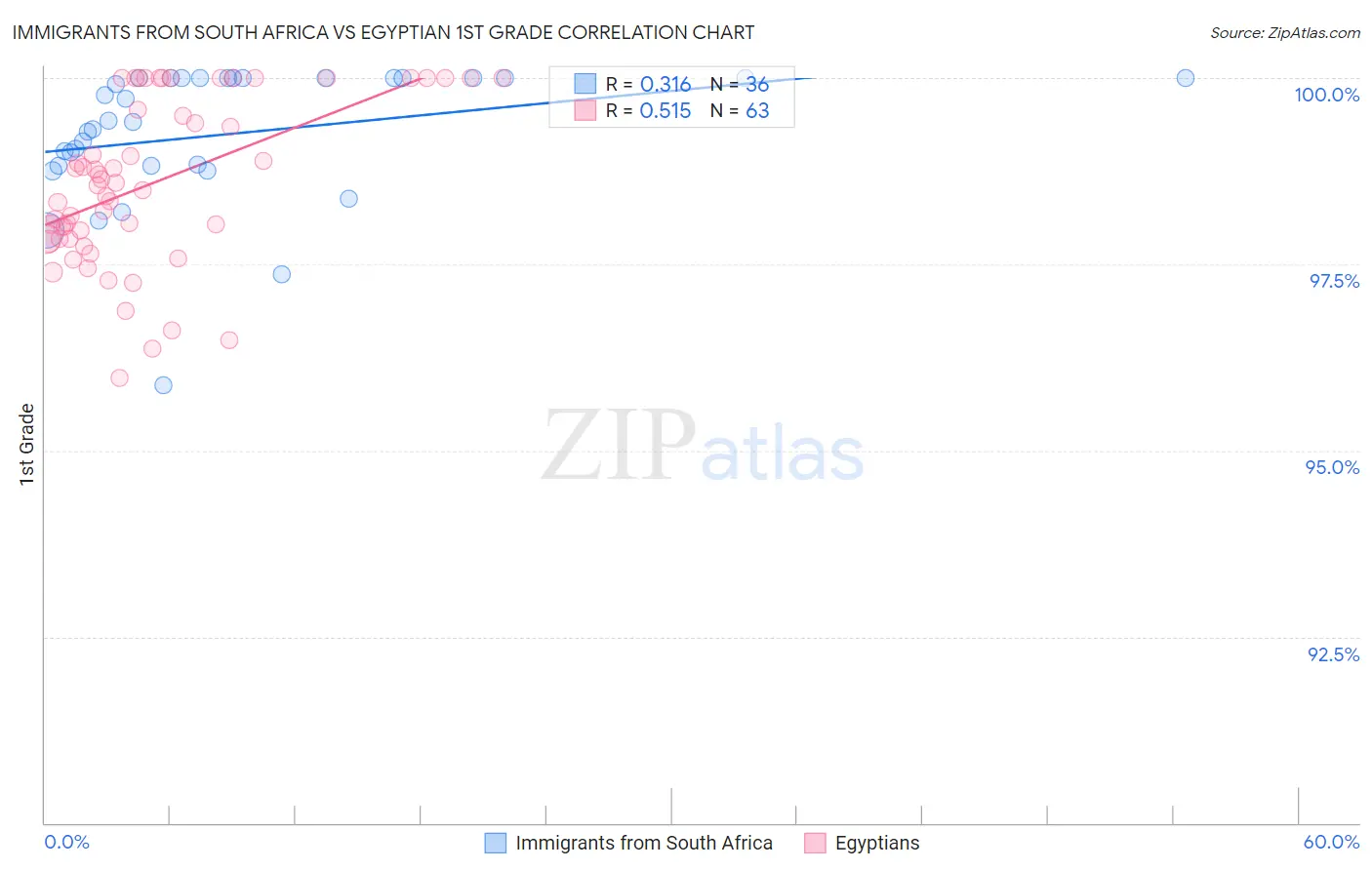 Immigrants from South Africa vs Egyptian 1st Grade