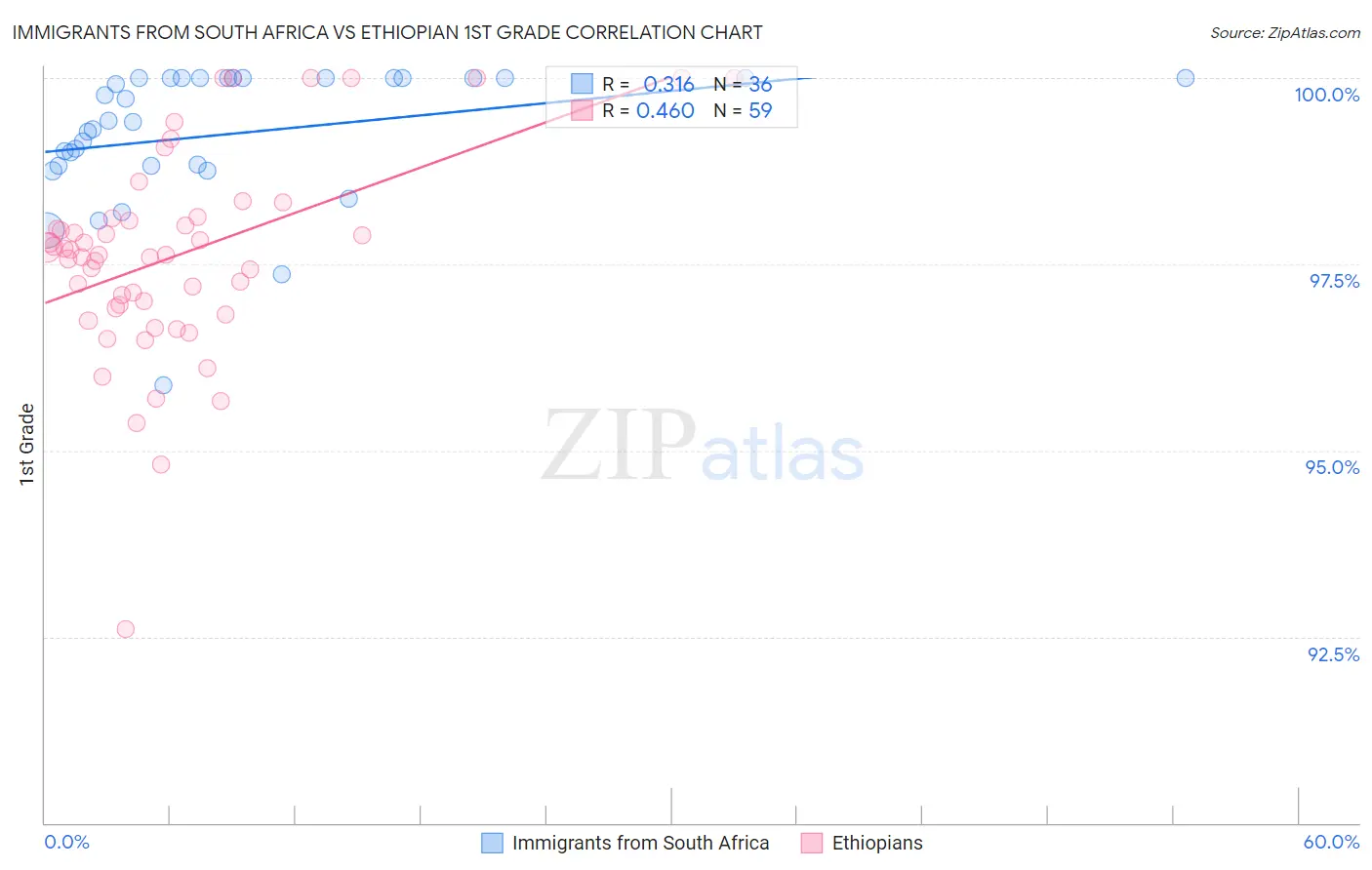 Immigrants from South Africa vs Ethiopian 1st Grade