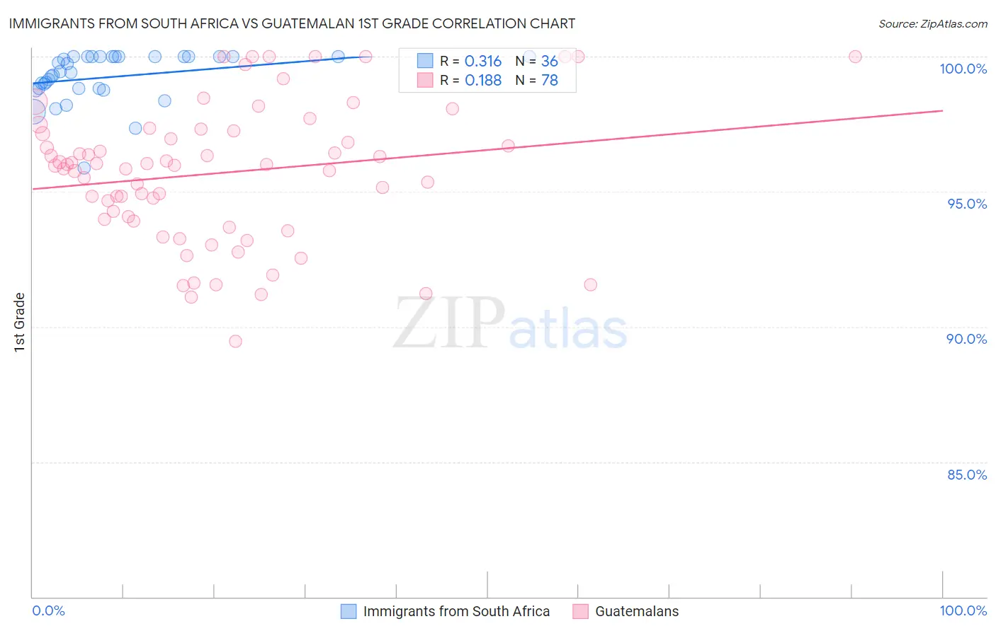 Immigrants from South Africa vs Guatemalan 1st Grade