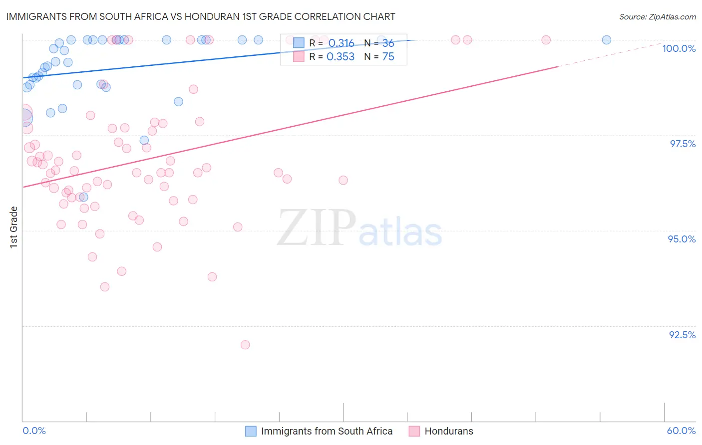 Immigrants from South Africa vs Honduran 1st Grade
