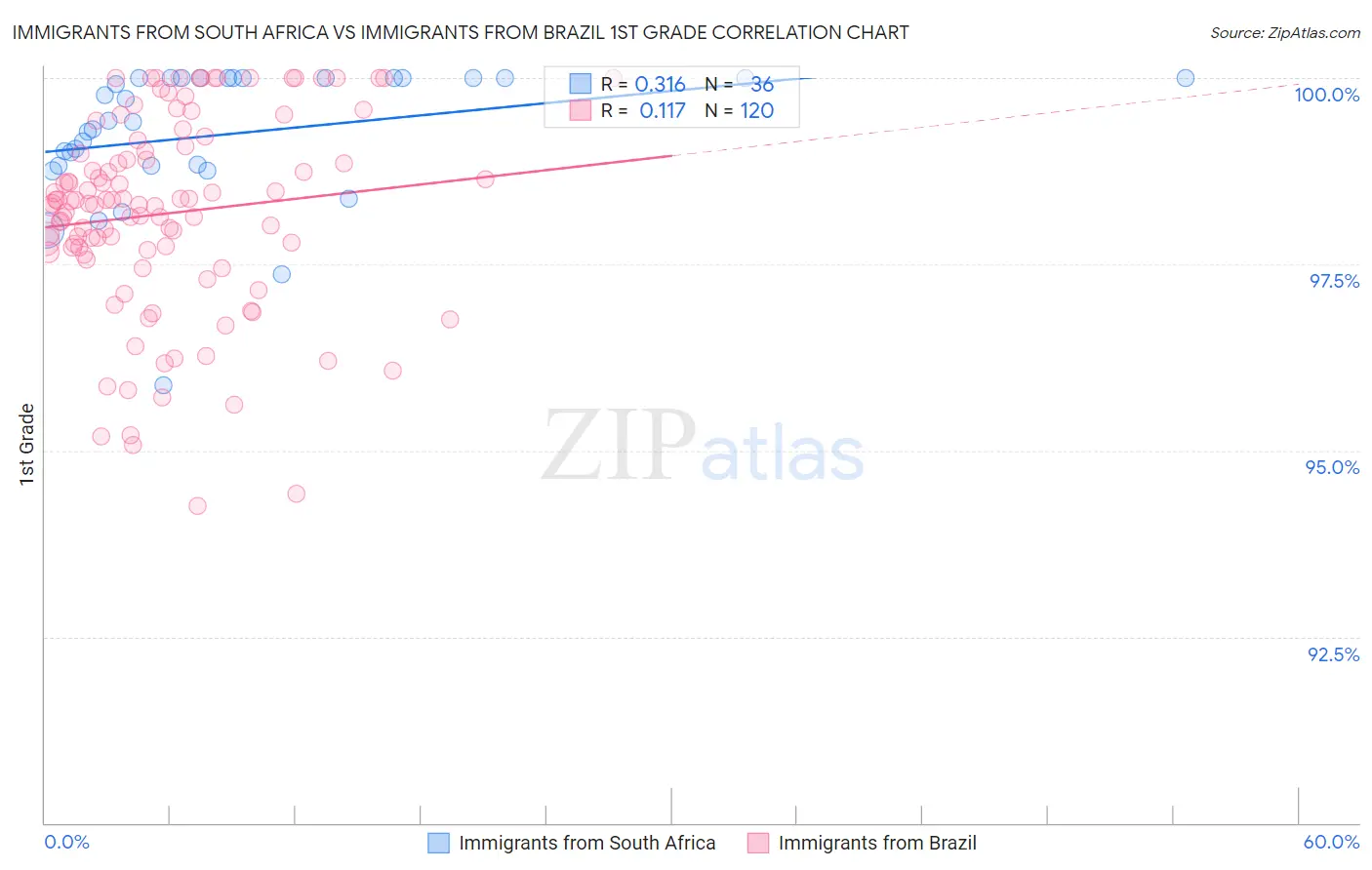 Immigrants from South Africa vs Immigrants from Brazil 1st Grade