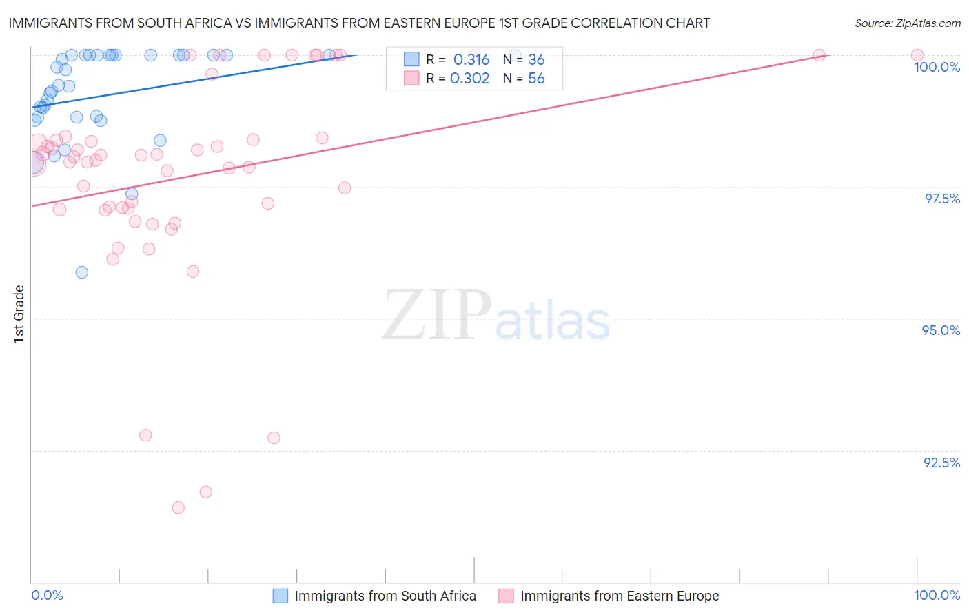 Immigrants from South Africa vs Immigrants from Eastern Europe 1st Grade
