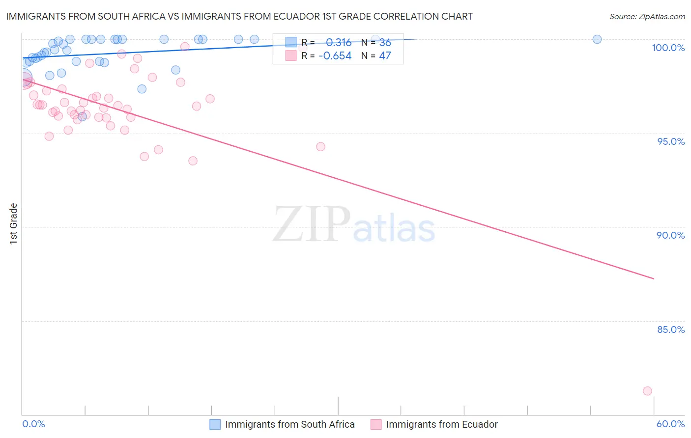 Immigrants from South Africa vs Immigrants from Ecuador 1st Grade