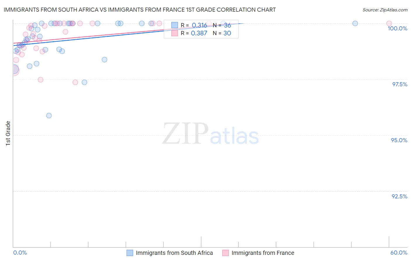 Immigrants from South Africa vs Immigrants from France 1st Grade