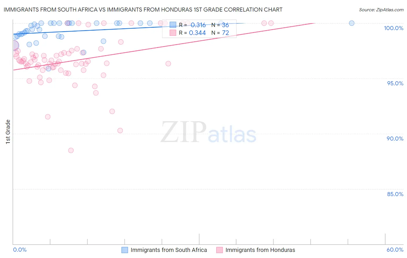 Immigrants from South Africa vs Immigrants from Honduras 1st Grade