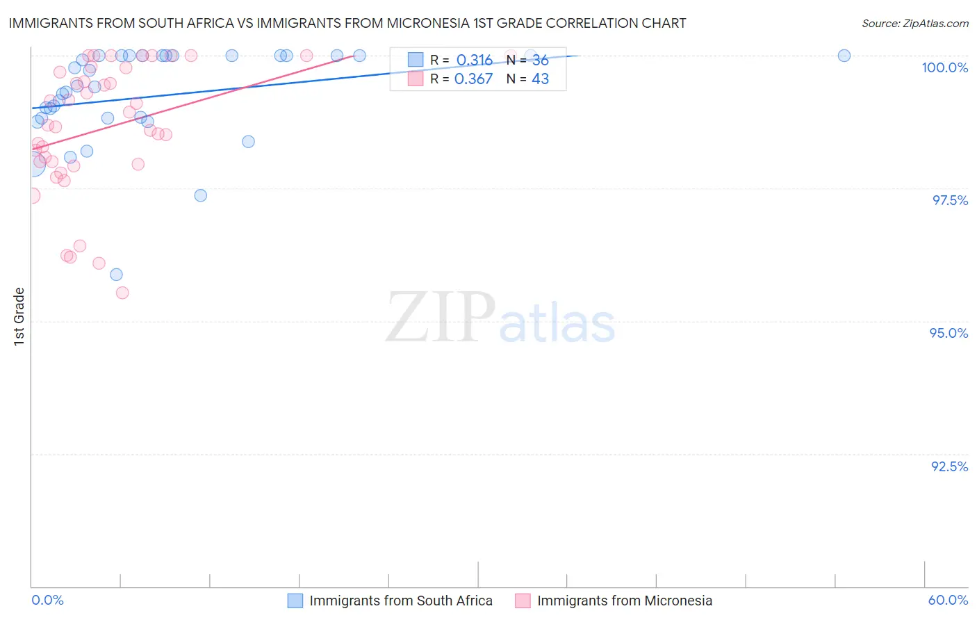 Immigrants from South Africa vs Immigrants from Micronesia 1st Grade