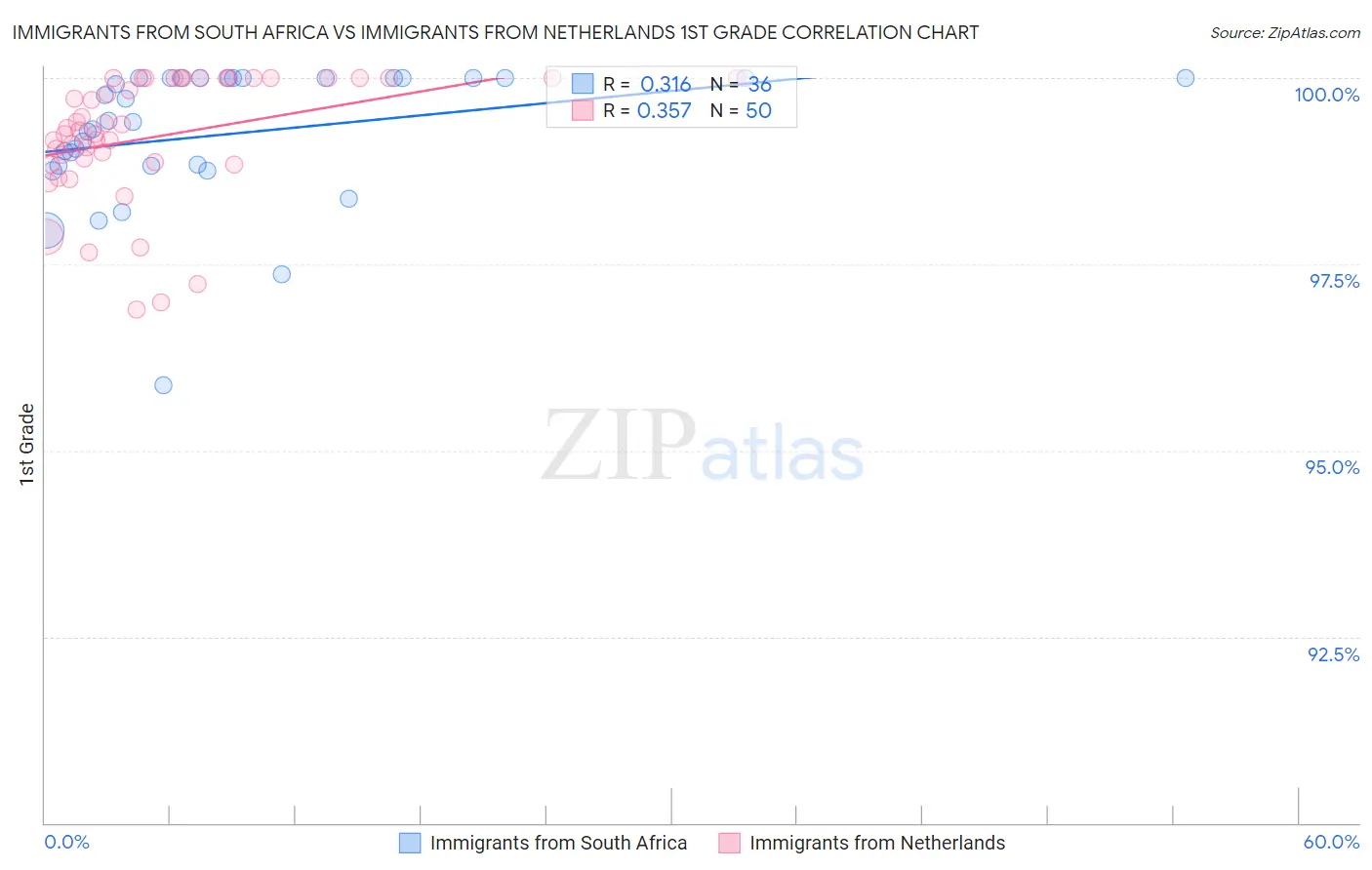 Immigrants from South Africa vs Immigrants from Netherlands 1st Grade