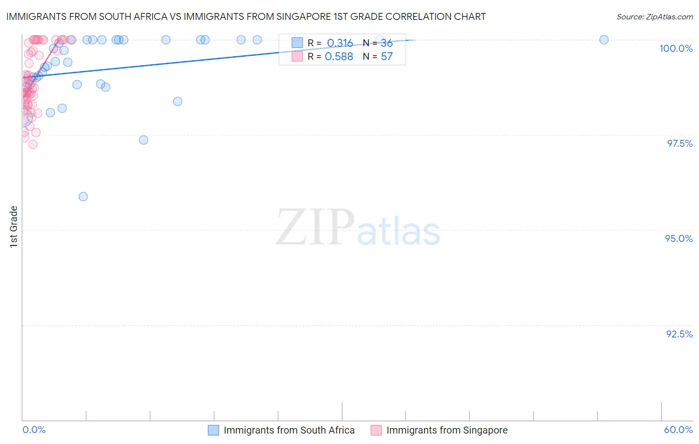 Immigrants from South Africa vs Immigrants from Singapore 1st Grade