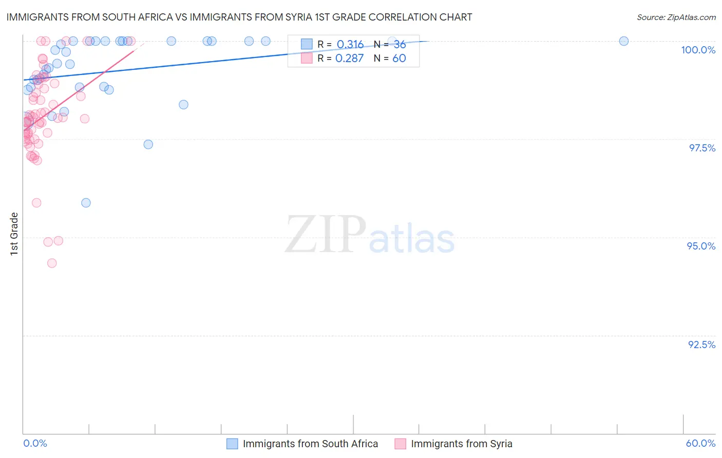 Immigrants from South Africa vs Immigrants from Syria 1st Grade