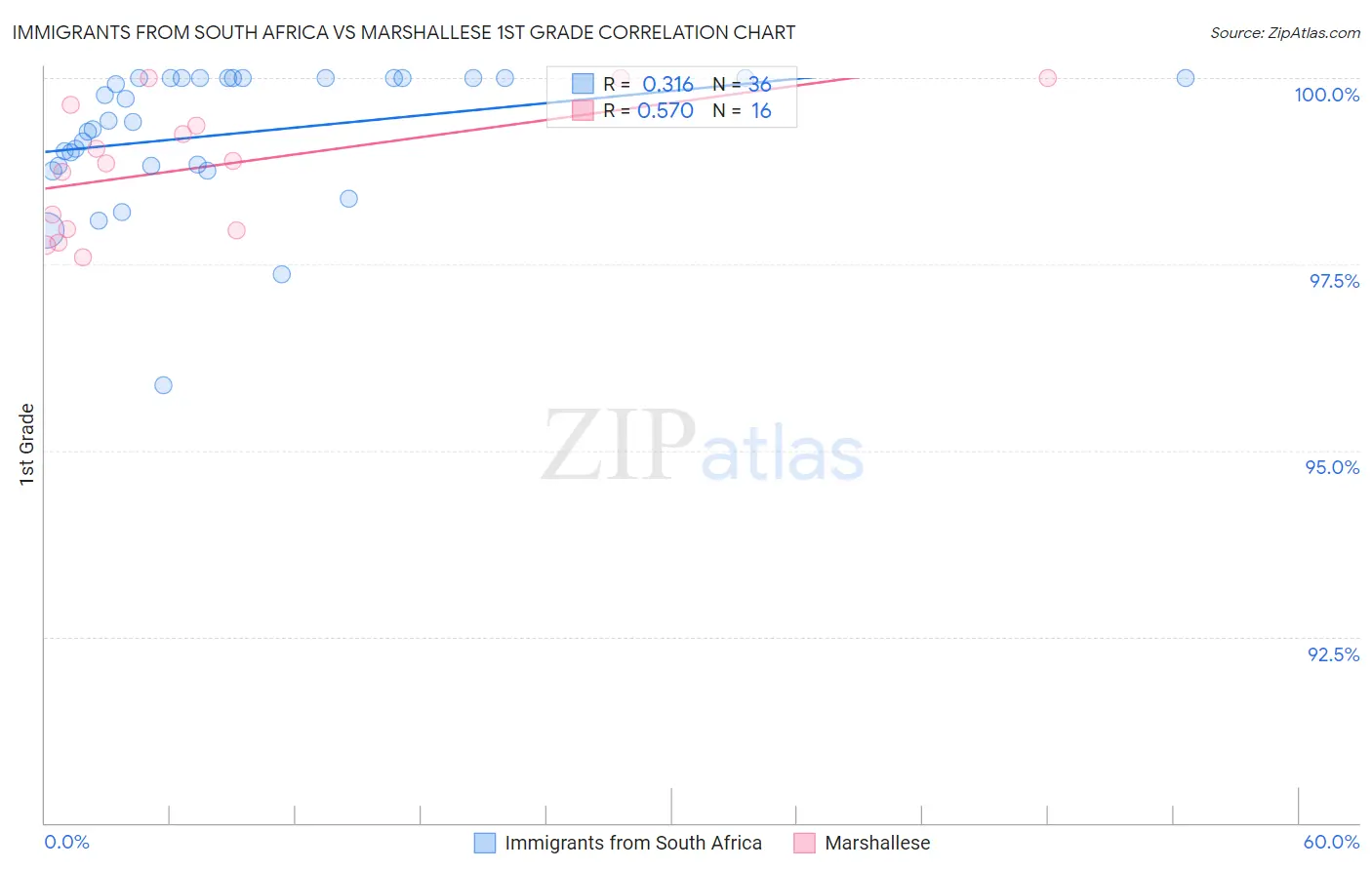Immigrants from South Africa vs Marshallese 1st Grade