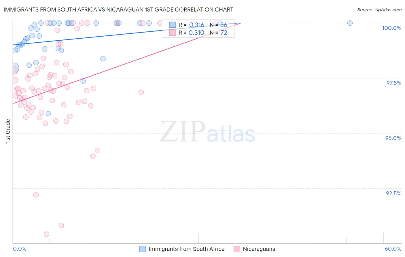Immigrants from South Africa vs Nicaraguan 1st Grade