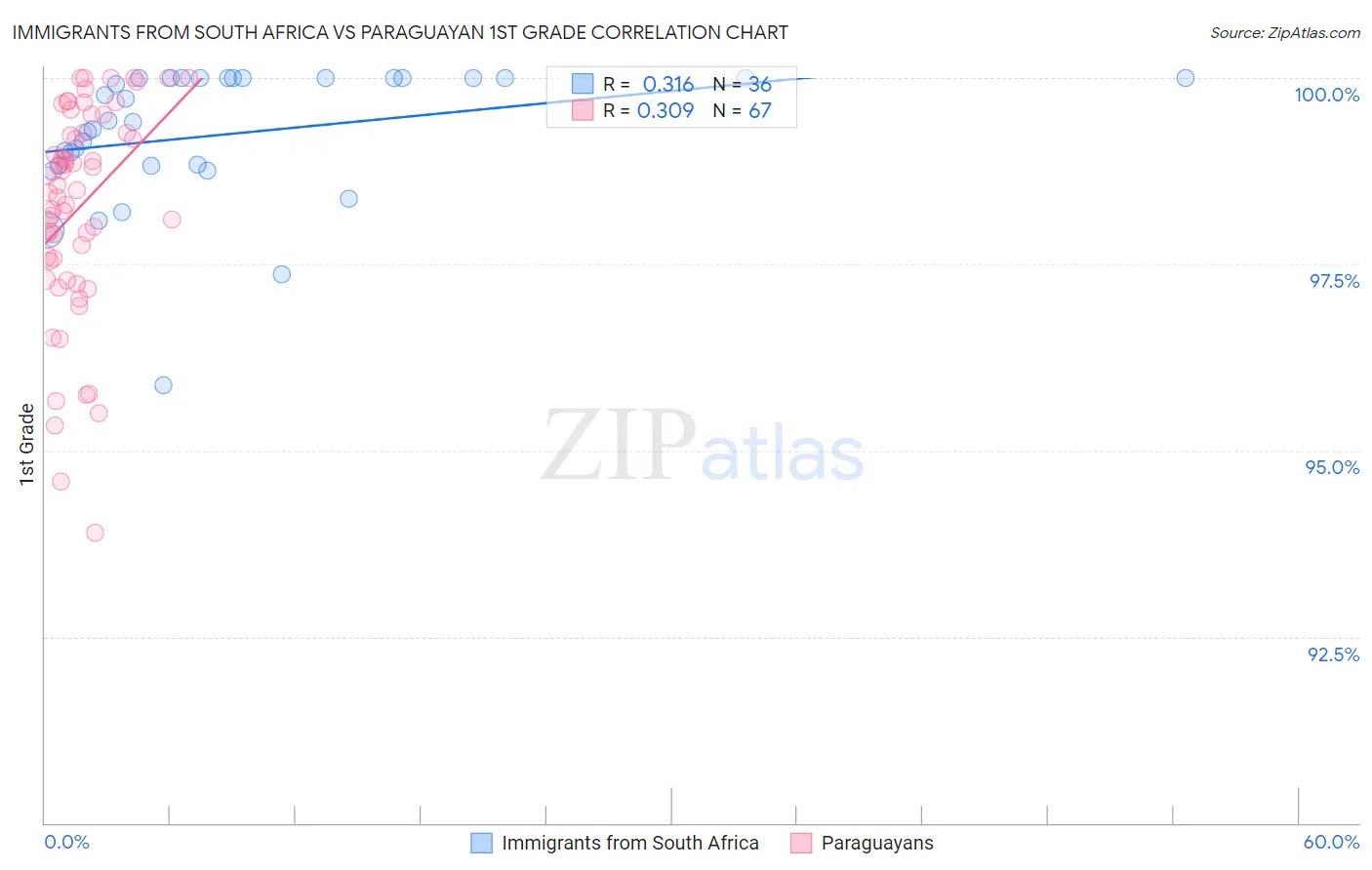 Immigrants from South Africa vs Paraguayan 1st Grade