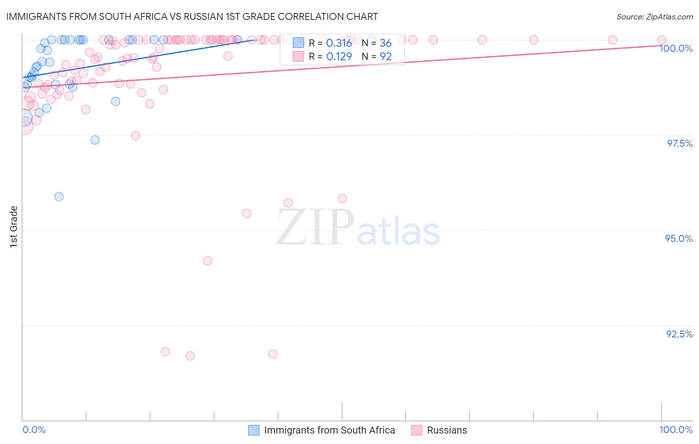 Immigrants from South Africa vs Russian 1st Grade