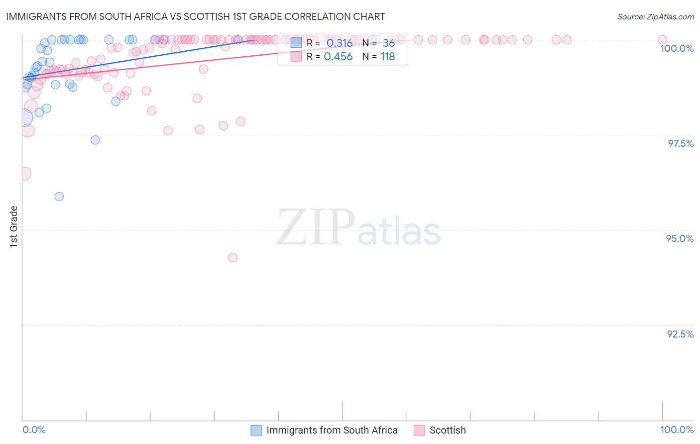 Immigrants from South Africa vs Scottish 1st Grade