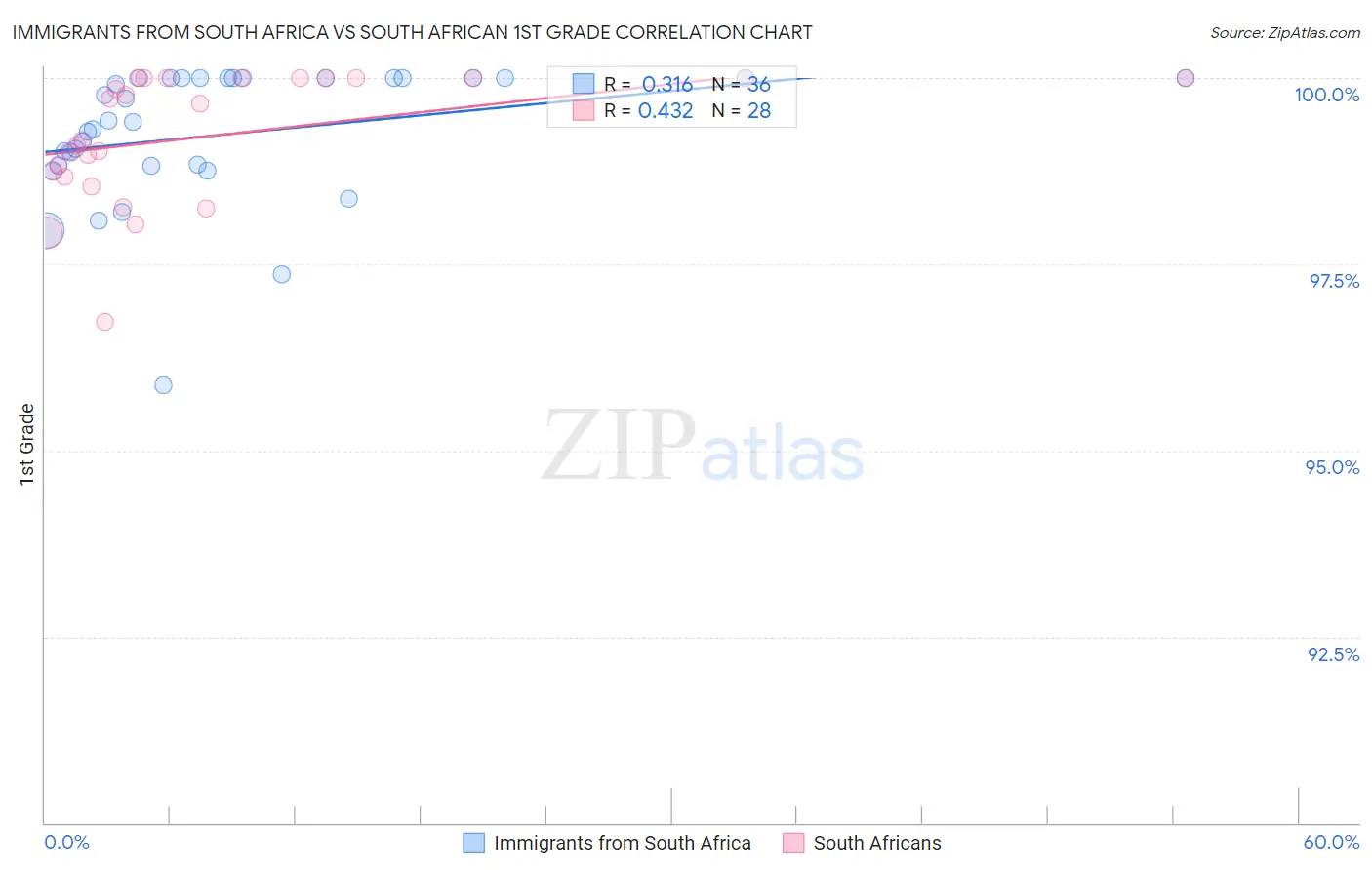 Immigrants from South Africa vs South African 1st Grade