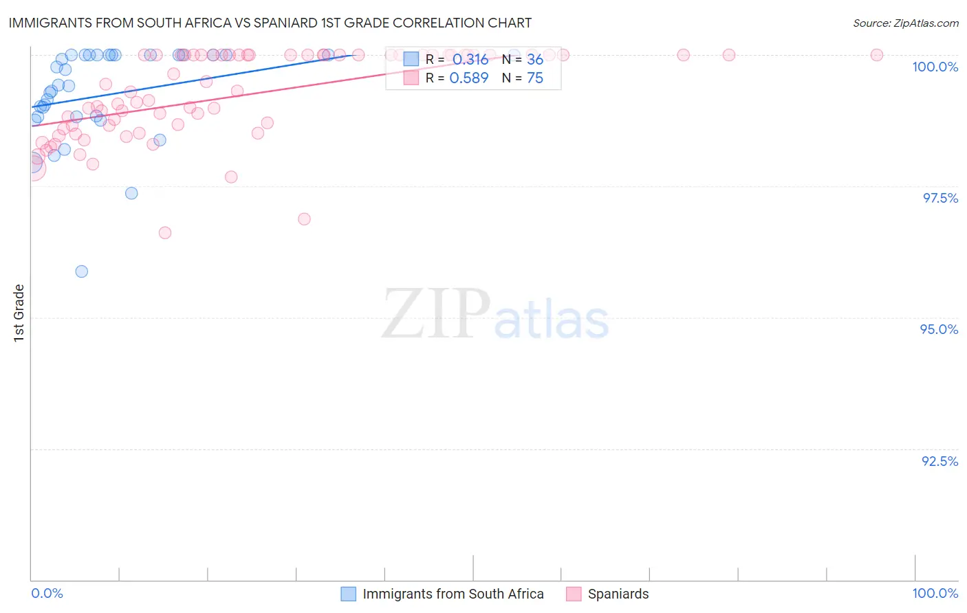 Immigrants from South Africa vs Spaniard 1st Grade