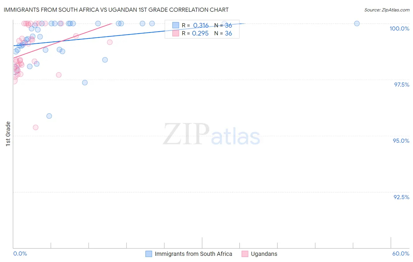 Immigrants from South Africa vs Ugandan 1st Grade