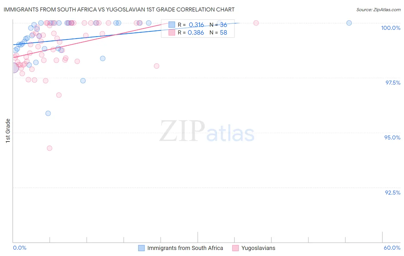 Immigrants from South Africa vs Yugoslavian 1st Grade
