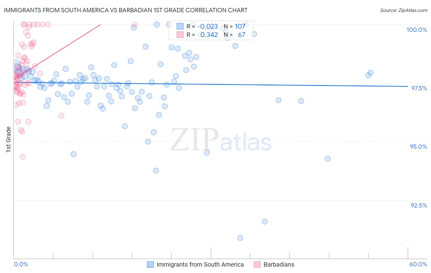 Immigrants from South America vs Barbadian 1st Grade