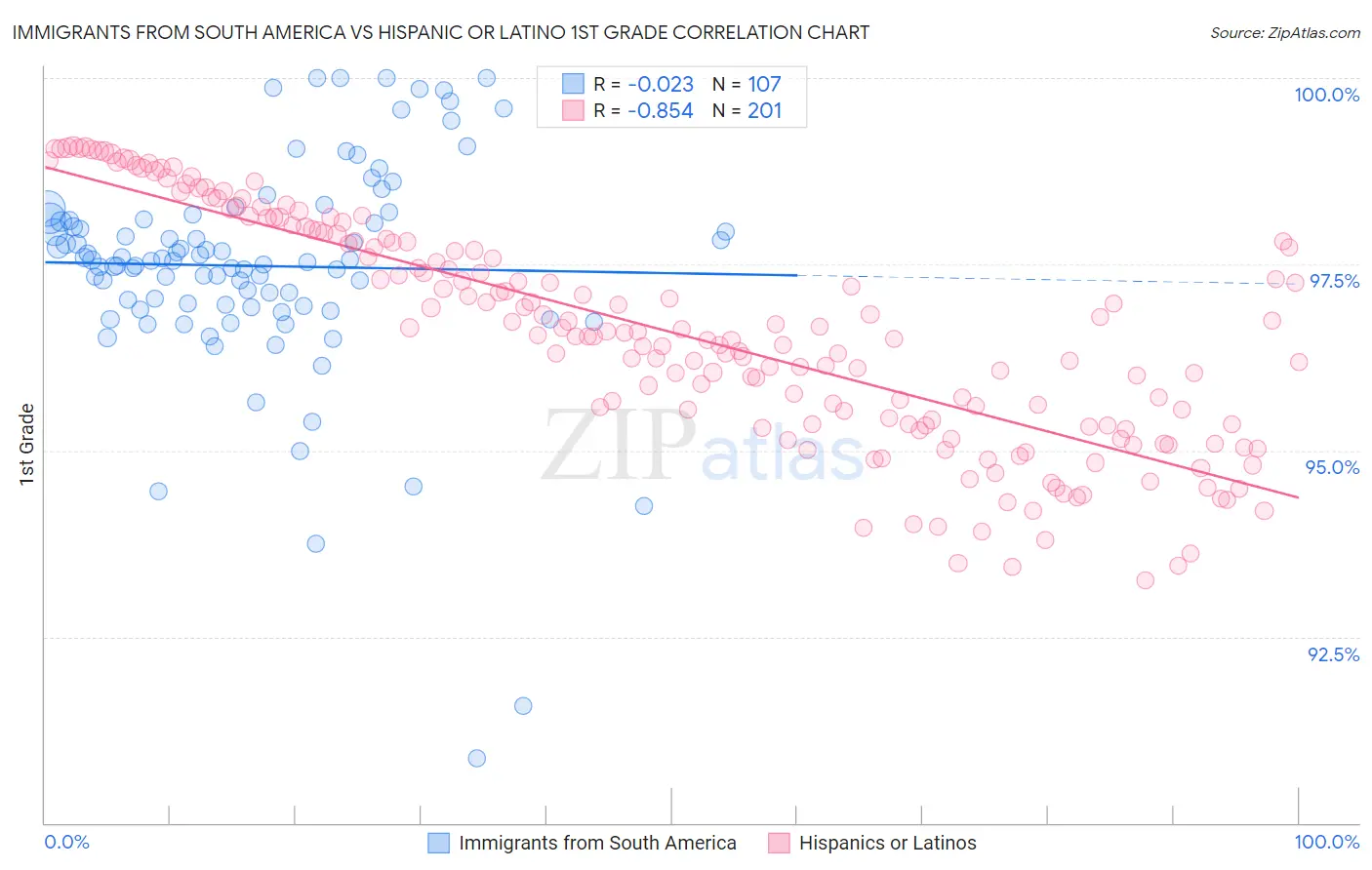 Immigrants from South America vs Hispanic or Latino 1st Grade