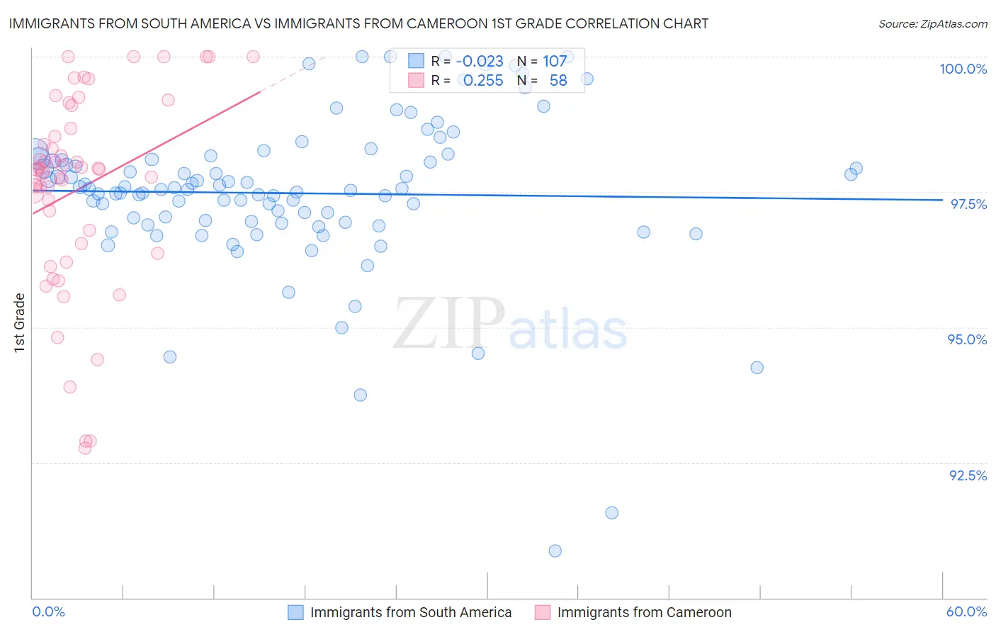 Immigrants from South America vs Immigrants from Cameroon 1st Grade