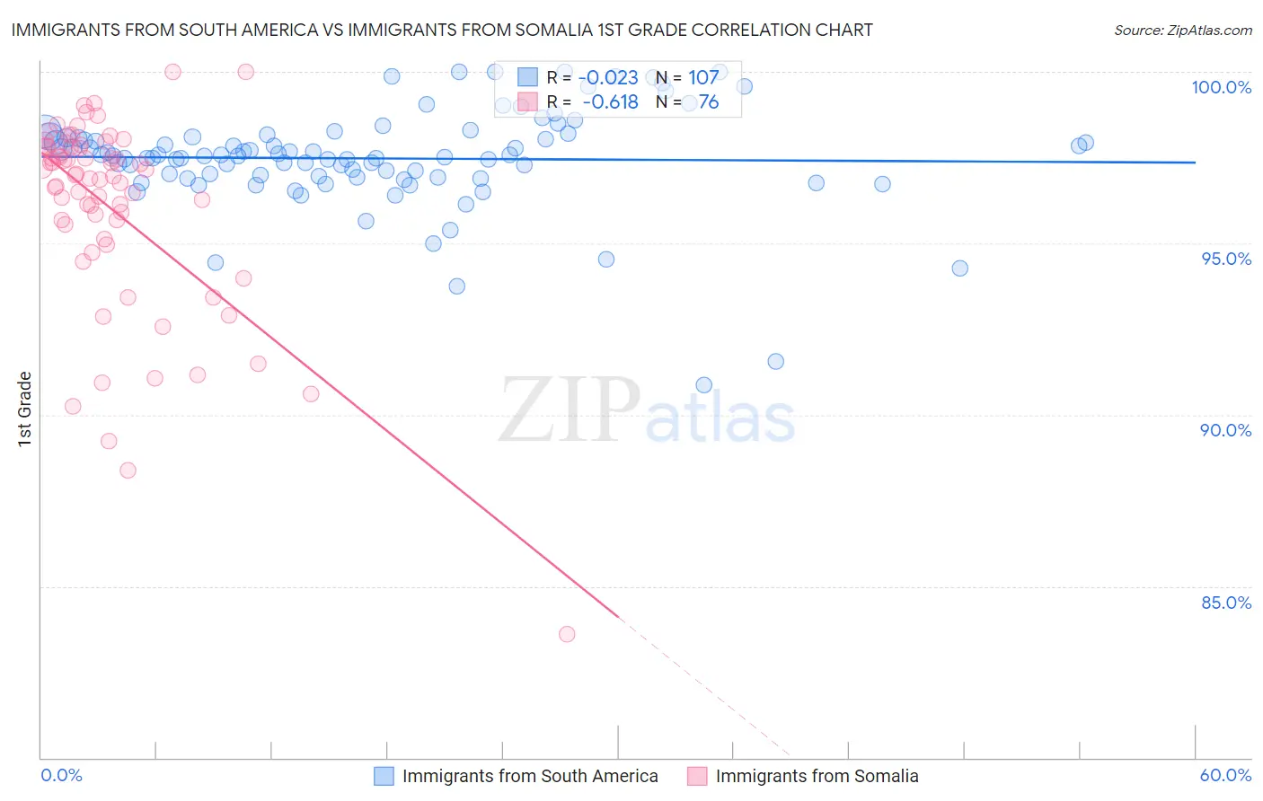 Immigrants from South America vs Immigrants from Somalia 1st Grade