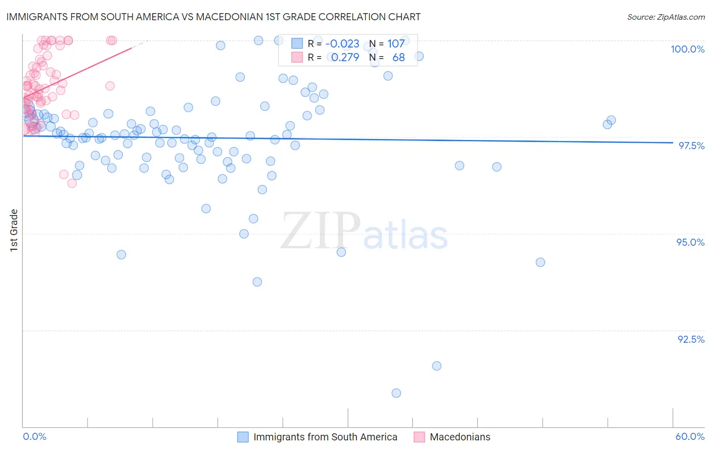 Immigrants from South America vs Macedonian 1st Grade