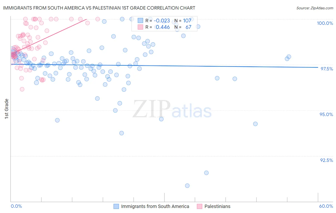 Immigrants from South America vs Palestinian 1st Grade