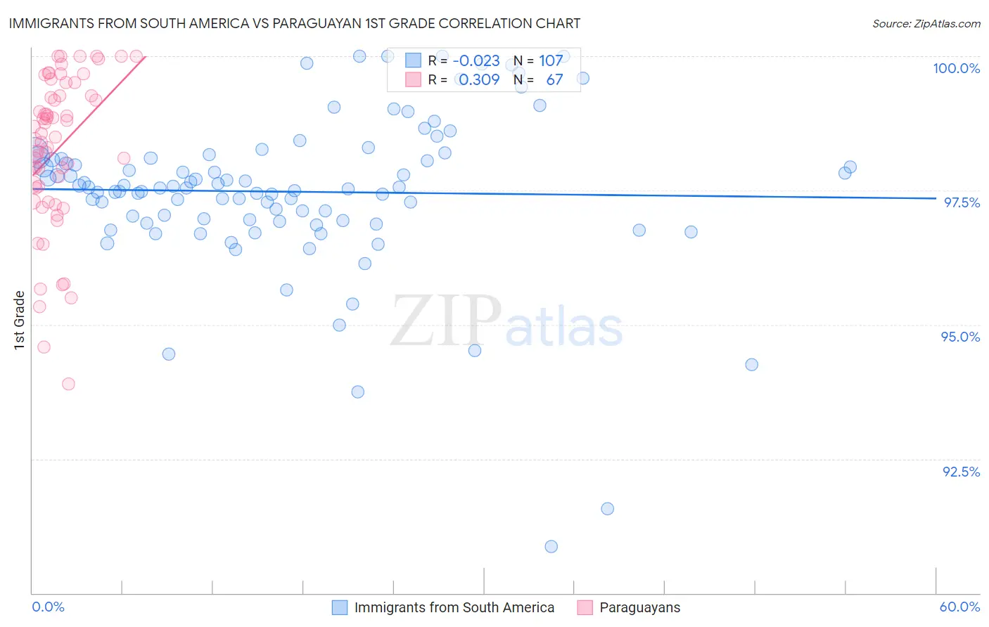 Immigrants from South America vs Paraguayan 1st Grade